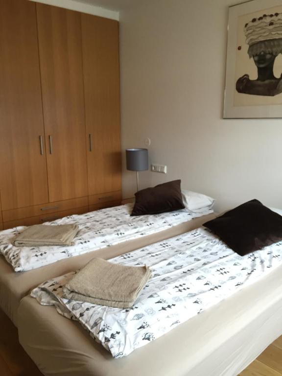 Baldursbrá Apartment Laugarvegur room 2